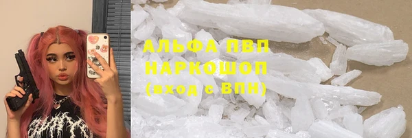стаф Зеленокумск