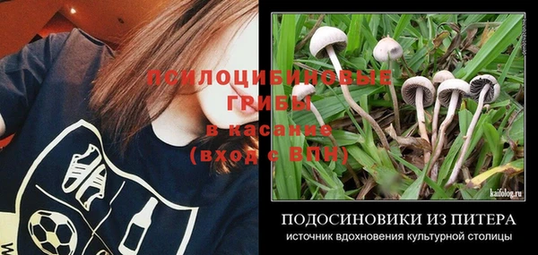 jwh Зерноград