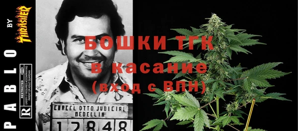 таблы Каменногорск