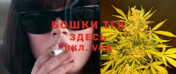 стаф Зеленокумск