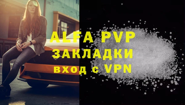 стаф Зеленокумск